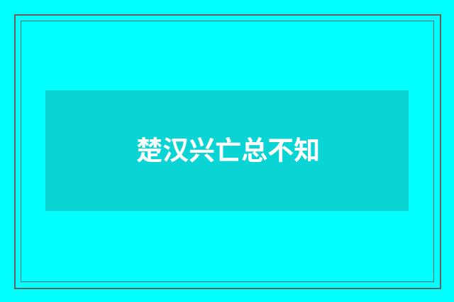 楚汉兴亡总不知