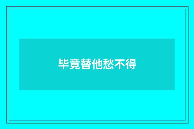 毕竟替他愁不得