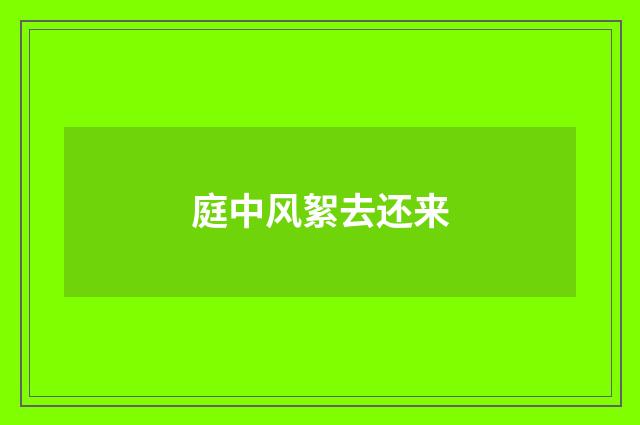 庭中风絮去还来