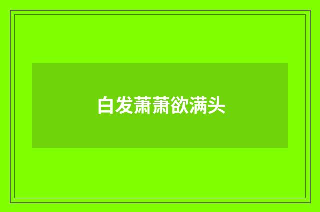 白发萧萧欲满头