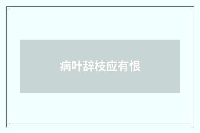 病叶辞枝应有恨
