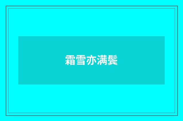 霜雪亦满鬓