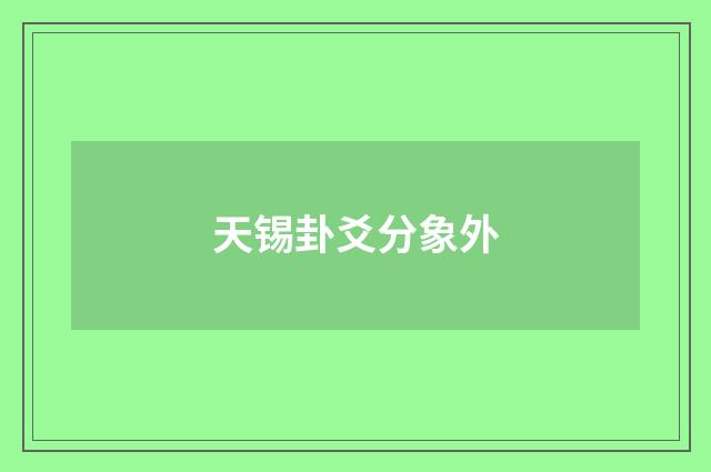 天锡卦爻分象外