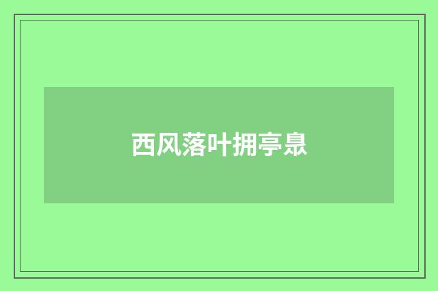 西风落叶拥亭臮