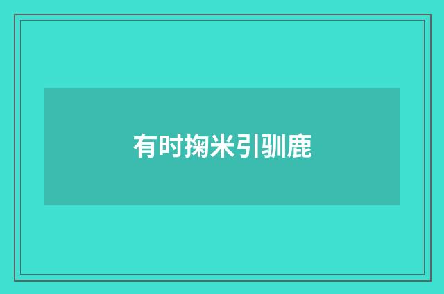 有时掬米引驯鹿