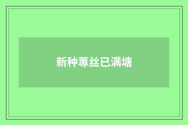 新种蓴丝已满塘