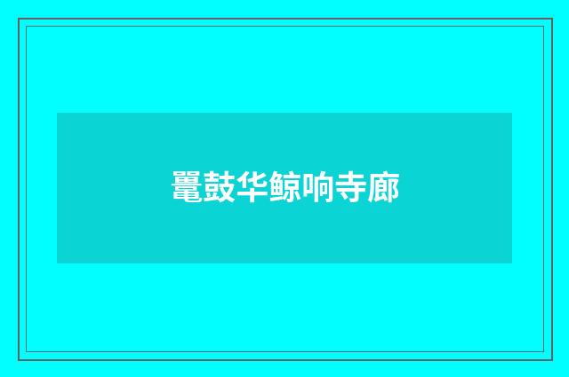 鼍鼓华鲸响寺廊