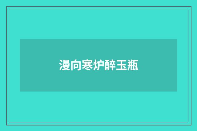 漫向寒炉醉玉瓶