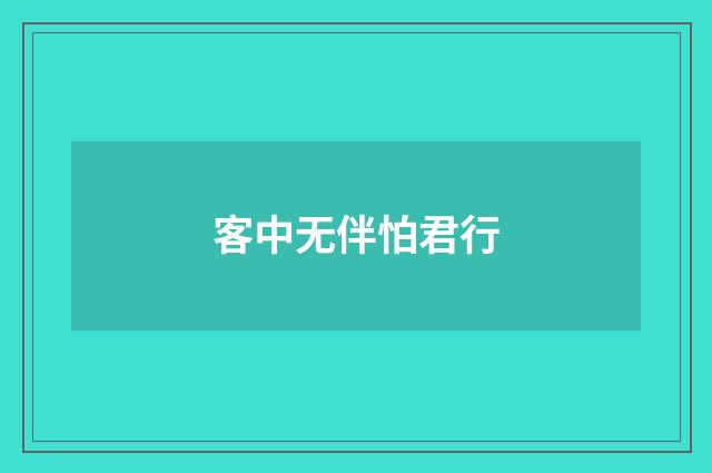 客中无伴怕君行
