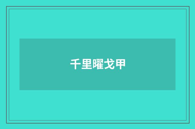 千里曜戈甲