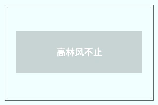 高林风不止