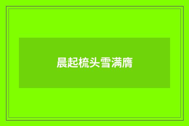 晨起梳头雪满膺