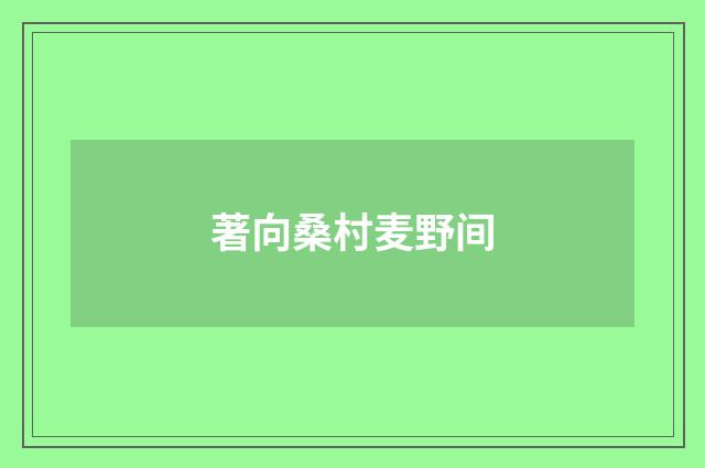 著向桑村麦野间