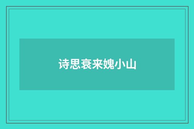 诗思衰来媿小山