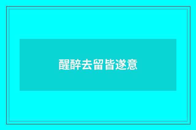 醒醉去留皆遂意
