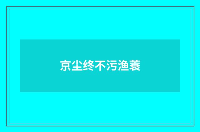 京尘终不污渔蓑