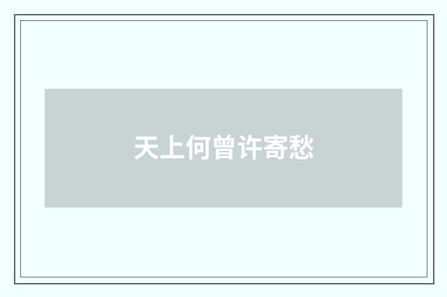天上何曾许寄愁