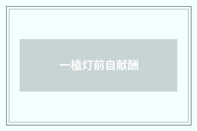 一榼灯前自献酬