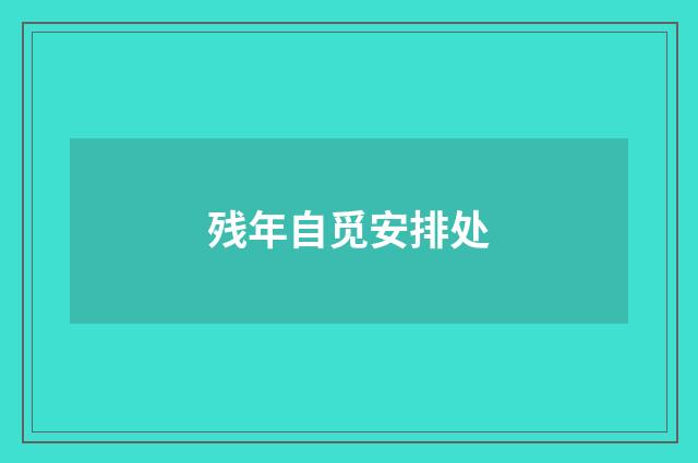 残年自觅安排处