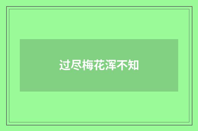 过尽梅花浑不知