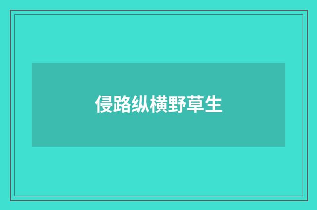 侵路纵横野草生