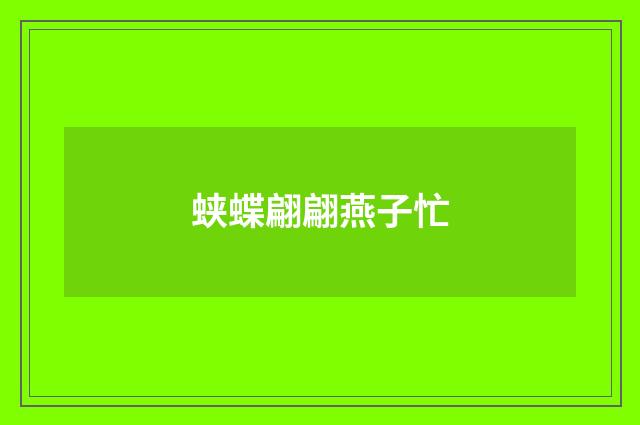 蛱蝶翩翩燕子忙