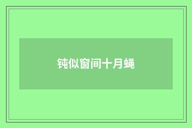 钝似窗间十月蝇
