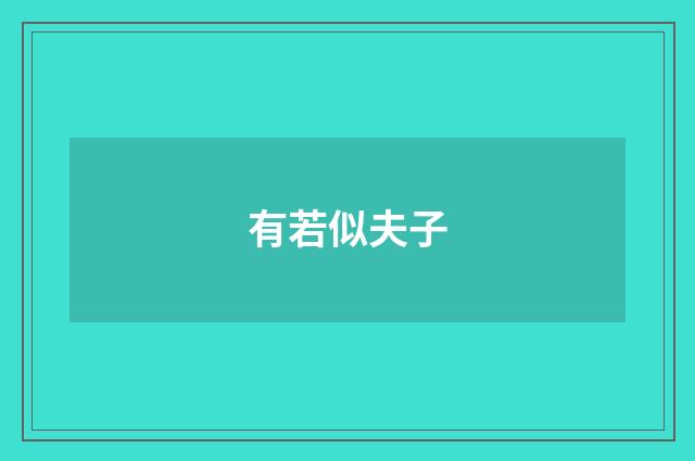 有若似夫子
