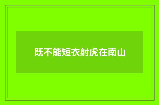 既不能短衣射虎在南山