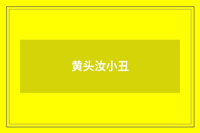 黄头汝小丑
