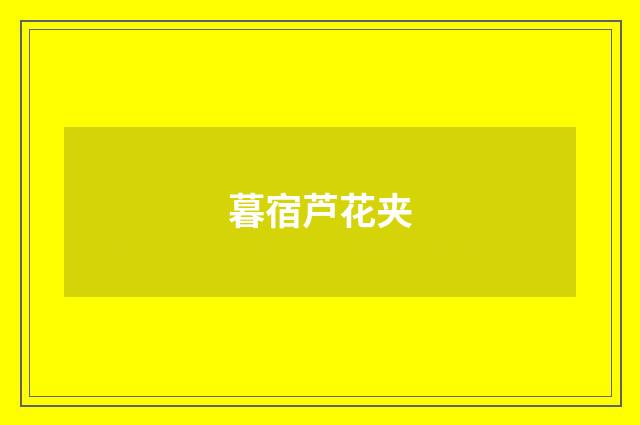 暮宿芦花夹