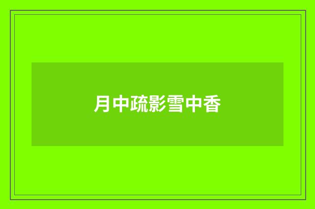 月中疏影雪中香