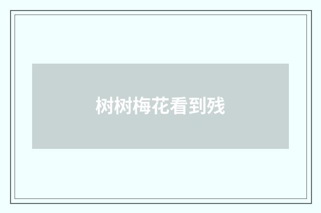 树树梅花看到残
