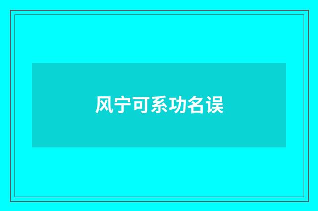 风宁可系功名误