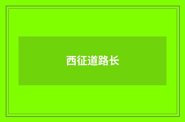 西征道路长