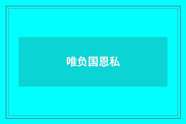 唯负国恩私