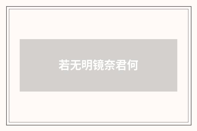 若无明镜奈君何