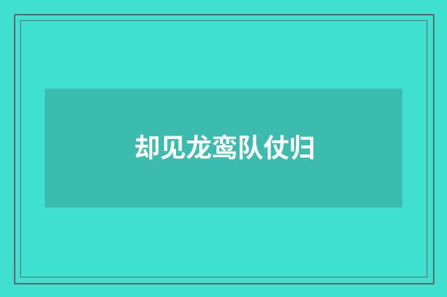 却见龙鸾队仗归