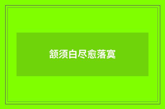 颔须白尽愈落寞