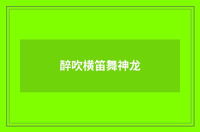 醉吹横笛舞神龙