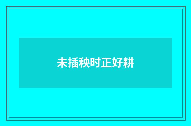 未插秧时正好耕