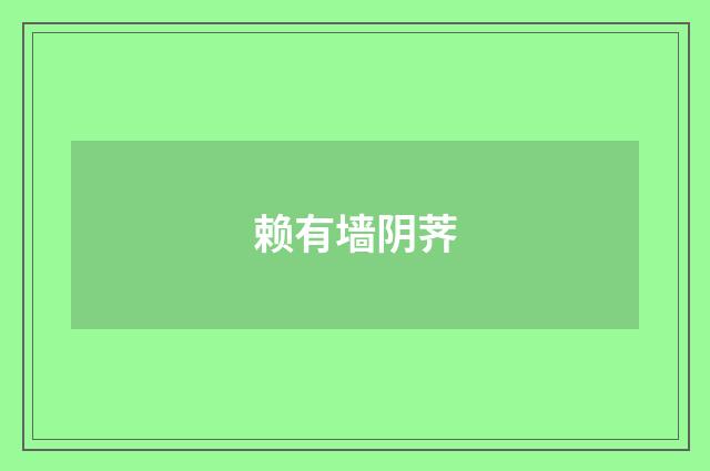 赖有墙阴荠