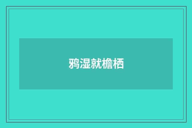 鸦湿就檐栖
