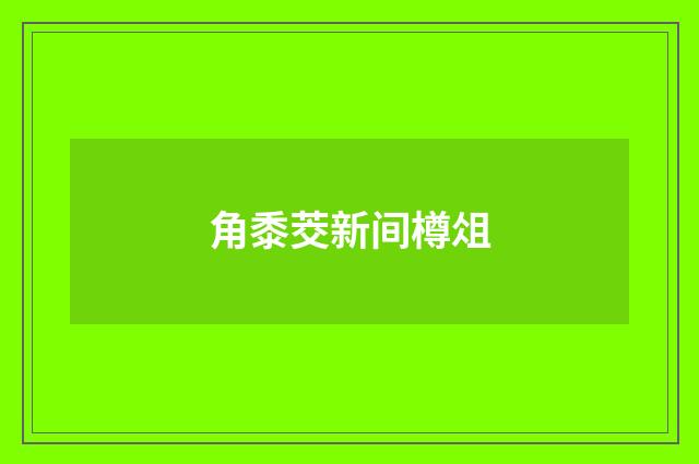 角黍茭新间樽俎