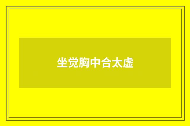 坐觉胸中合太虚