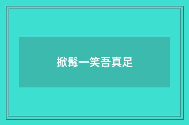 掀髯一笑吾真足