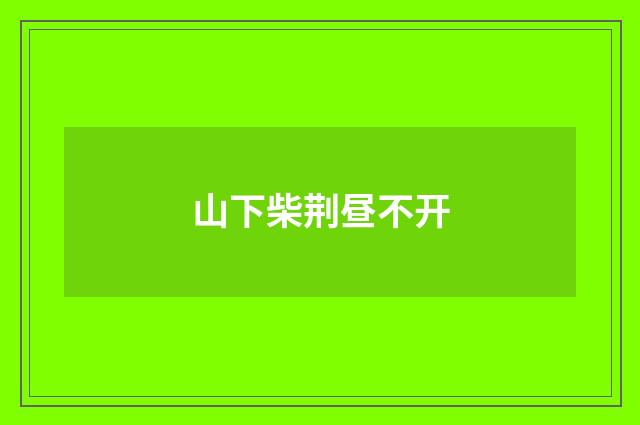 山下柴荆昼不开