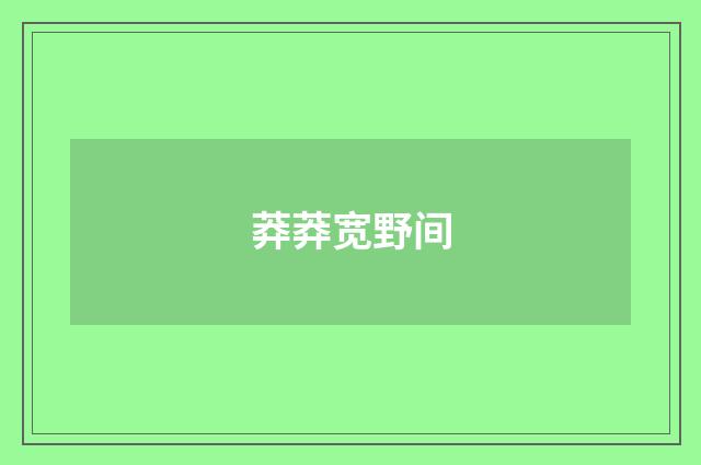 莽莽宽野间