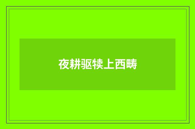 夜耕驱犊上西畴