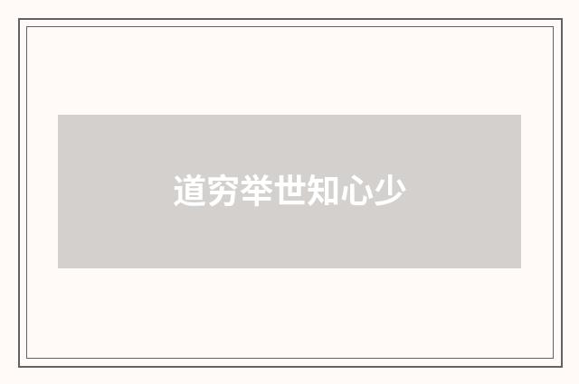 道穷举世知心少
